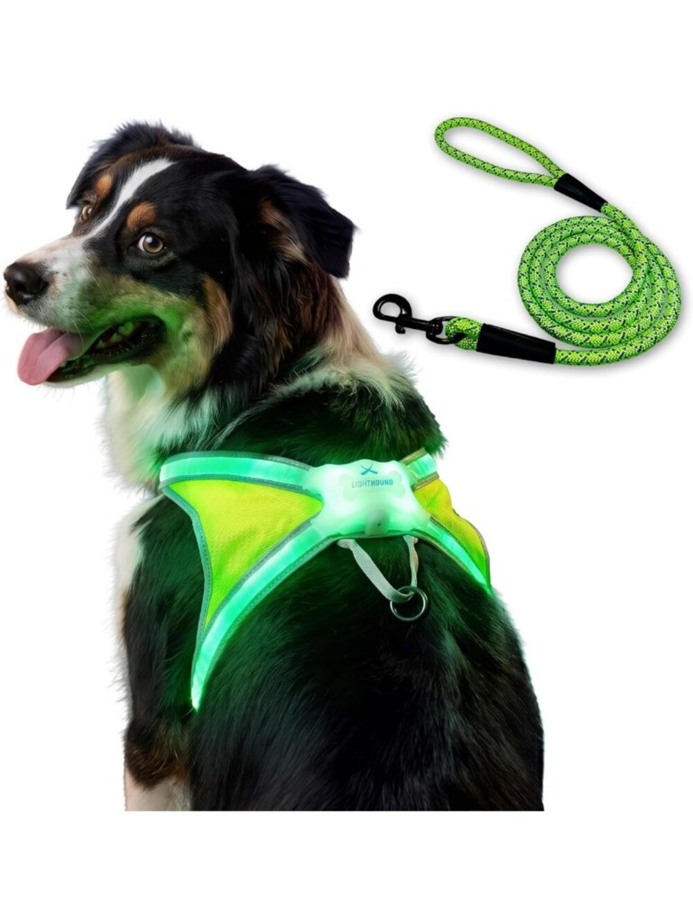 Light Up Reflective Dog Harness & Leash Set for Large Dogs - Safety & Comfort